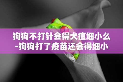 狗狗不打針會得犬瘟細小么-狗狗打了疫苗還會得細小犬瘟嗎
