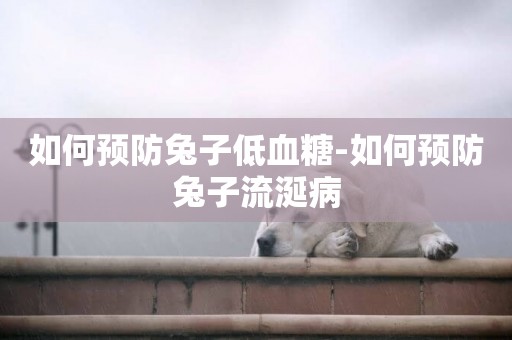 如何預防兔子低血糖-如何預防兔子流涎病