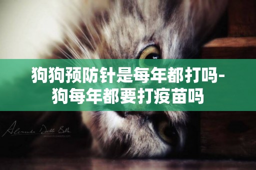 狗狗預防針是每年都打嗎-狗每年都要打疫苗嗎