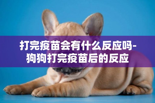 打完疫苗會有什么反應嗎-狗狗打完疫苗后的反應