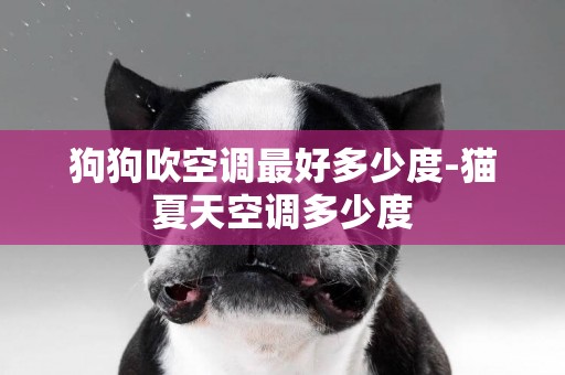 狗狗吹空調最好多少度-貓夏天空調多少度