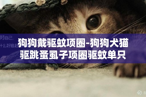 狗狗戴驅蚊項圈-狗狗犬貓驅跳蚤虱子項圈驅蚊單只