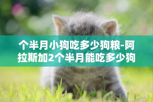 個半月小狗吃多少狗糧-阿拉斯加2個半月能吃多少狗糧