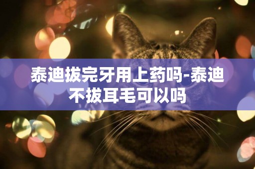 泰迪拔完牙用上藥嗎-泰迪不拔耳毛可以嗎