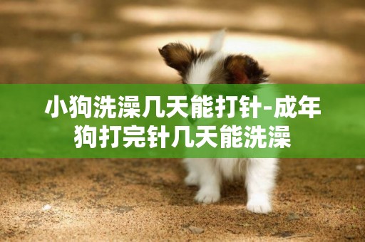 小狗洗澡幾天能打針-成年狗打完針幾天能洗澡