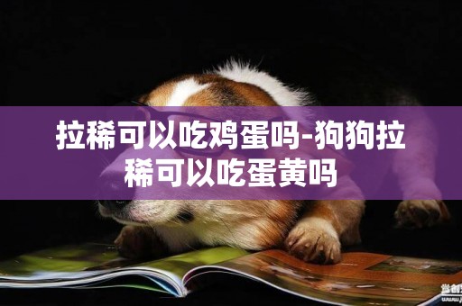 拉稀可以吃雞蛋嗎-狗狗拉稀可以吃蛋黃嗎