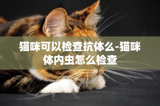 貓咪可以檢查抗體么-貓咪體內蟲怎么檢查