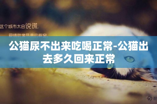 公貓尿不出來吃喝正常-公貓出去多久回來正常