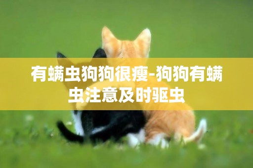 有螨蟲狗狗很瘦-狗狗有螨蟲注意及時驅蟲