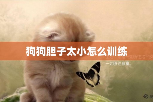 狗狗膽子太小怎么訓練
