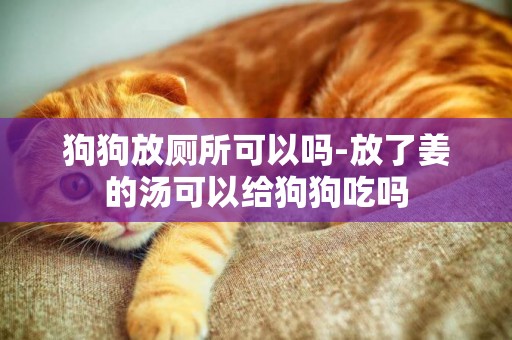 狗狗放廁所可以嗎-放了姜的湯可以給狗狗吃嗎