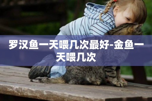 羅漢魚一天喂幾次最好-金魚一天喂幾次