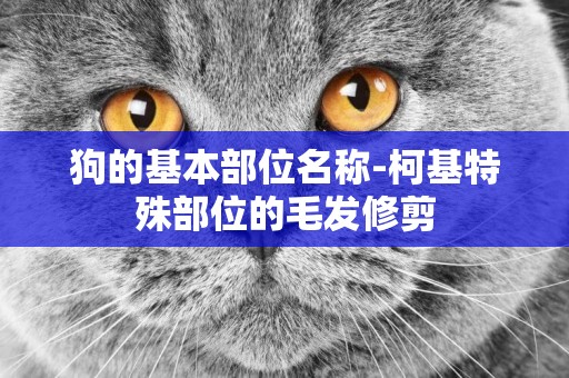 狗的基本部位名稱-柯基特殊部位的毛發修剪