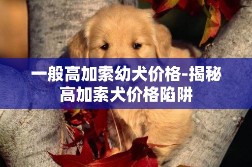 一般高加索幼犬價格-揭秘高加索犬價格陷阱