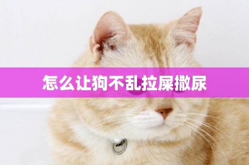 怎么讓狗不亂拉屎撒尿