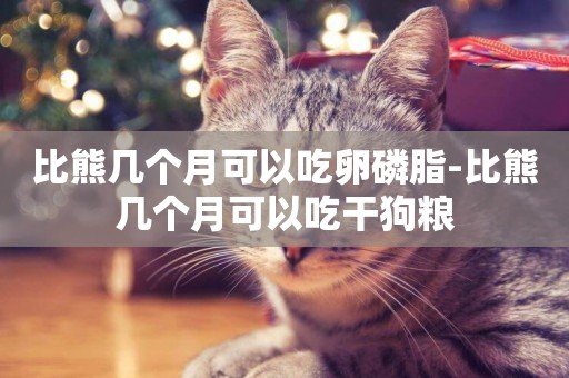 比熊幾個月可以吃卵磷脂-比熊幾個月可以吃干狗糧