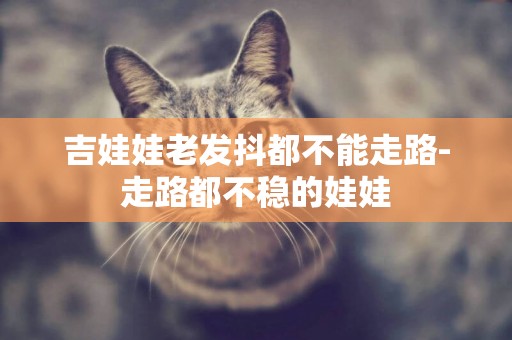 吉娃娃老發抖都不能走路-走路都不穩的娃娃