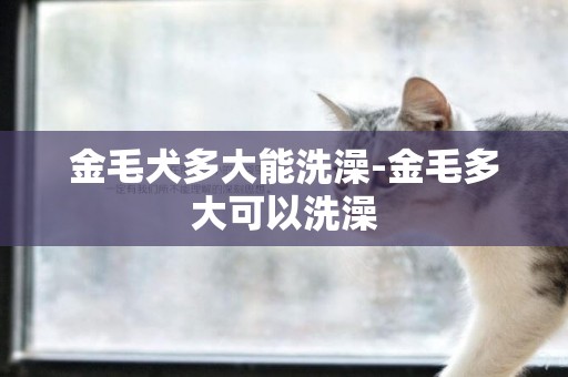 金毛犬多大能洗澡-金毛多大可以洗澡