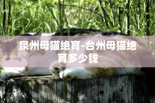 泉州母貓絕育-臺州母貓絕育多少錢