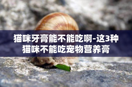 貓咪牙膏能不能吃啊-這3種貓咪不能吃寵物營養膏