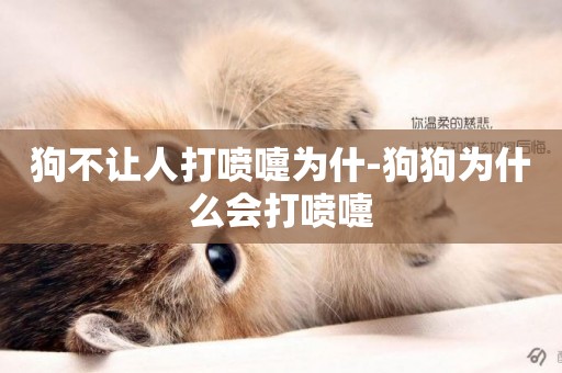 狗不讓人打噴嚏為什-狗狗為什么會打噴嚏