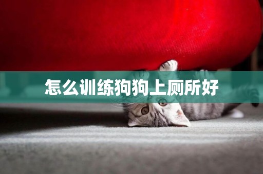 怎么訓練狗狗上廁所好
