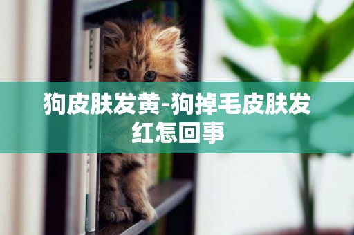 狗皮膚發黃-狗掉毛皮膚發紅怎回事