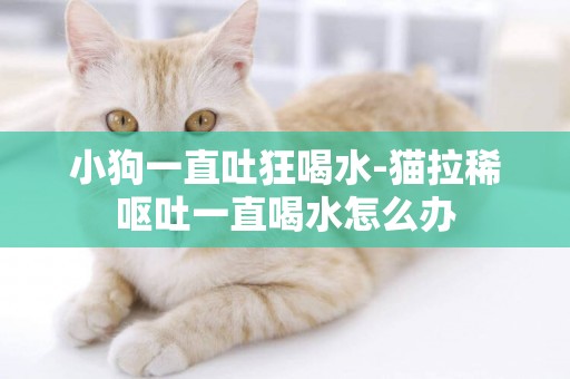 小狗一直吐狂喝水-貓拉稀嘔吐一直喝水怎么辦