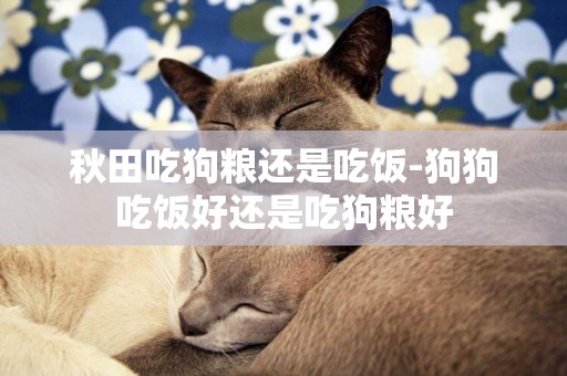秋田吃狗糧還是吃飯-狗狗吃飯好還是吃狗糧好