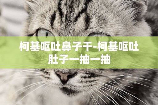 柯基嘔吐鼻子干-柯基嘔吐肚子一抽一抽