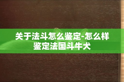 關于法斗怎么鑒定-怎么樣鑒定法國斗牛犬