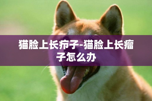 貓臉上長癤子-貓臉上長瘤子怎么辦