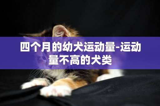 四個月的幼犬運動量-運動量不高的犬類
