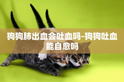 狗狗肺出血會吐血嗎-狗狗吐血能自愈嗎