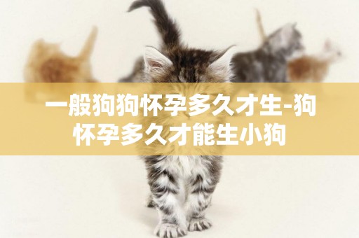 一般狗狗懷孕多久才生-狗懷孕多久才能生小狗