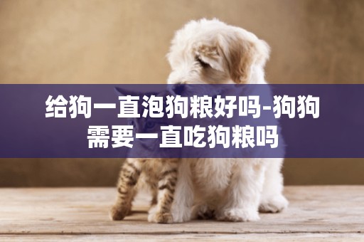 給狗一直泡狗糧好嗎-狗狗需要一直吃狗糧嗎