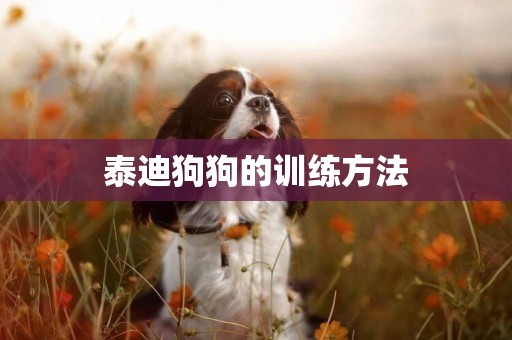 泰迪狗狗的訓練方法