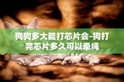 狗狗多大能打芯片會-狗打完芯片多久可以牽繩