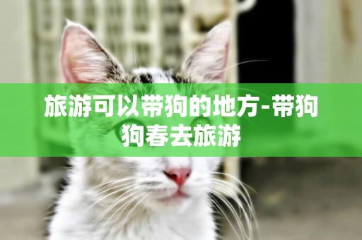 旅游可以帶狗的地方-帶狗狗春去旅游