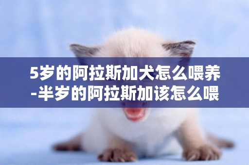 5歲的阿拉斯加犬怎么喂養-半歲的阿拉斯加該怎么喂養