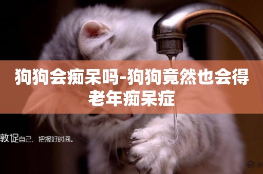 狗狗會癡呆嗎-狗狗竟然也會得老年癡呆癥