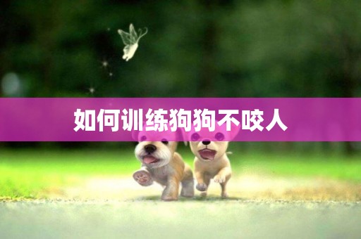 如何訓練狗狗不咬人