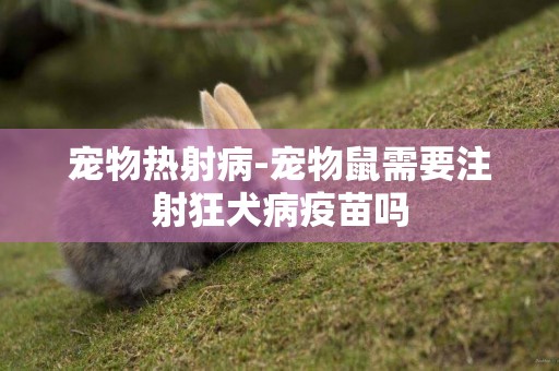 寵物熱射病-寵物鼠需要注射狂犬病疫苗嗎