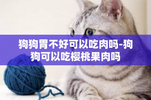 狗狗胃不好可以吃肉嗎-狗狗可以吃櫻桃果肉嗎
