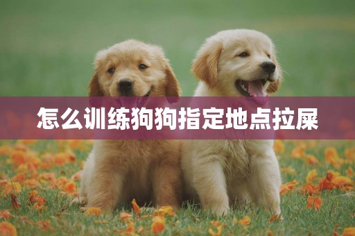 怎么訓練狗狗指定地點拉屎