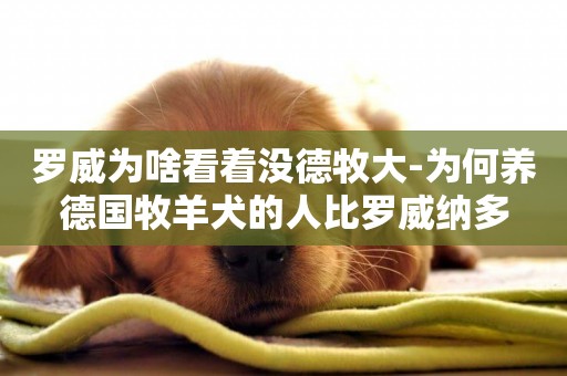 羅威為啥看著沒德牧大-為何養德國牧羊犬的人比羅威納多