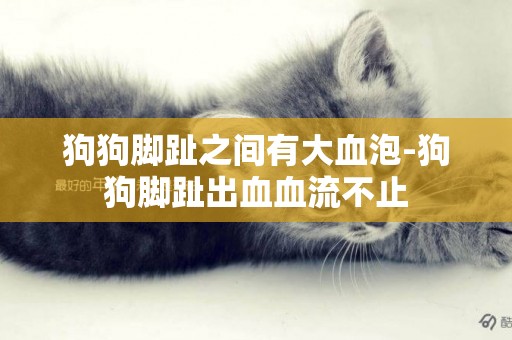 狗狗腳趾之間有大血泡-狗狗腳趾出血血流不止