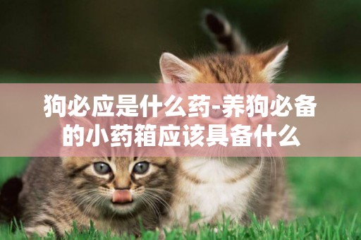 狗必應是什么藥-養狗必備的小藥箱應該具備什么