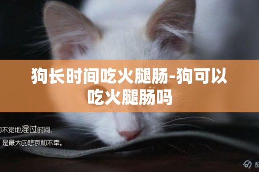 狗長時間吃火腿腸-狗可以吃火腿腸嗎