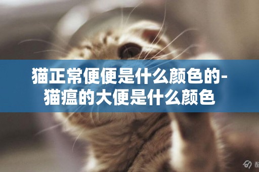 貓正常便便是什么顏色的-貓瘟的大便是什么顏色